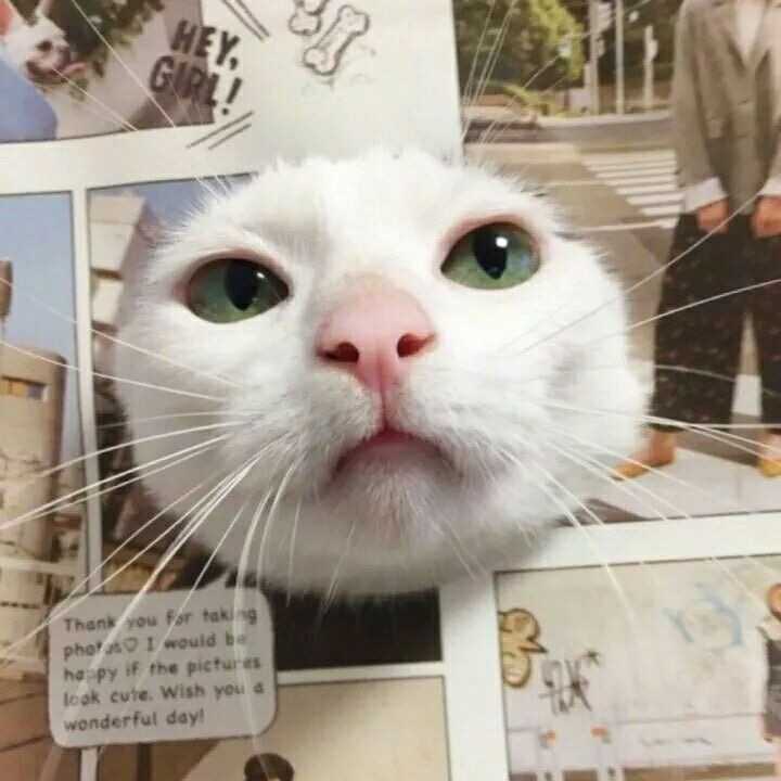求好看的闺蜜头像两人?