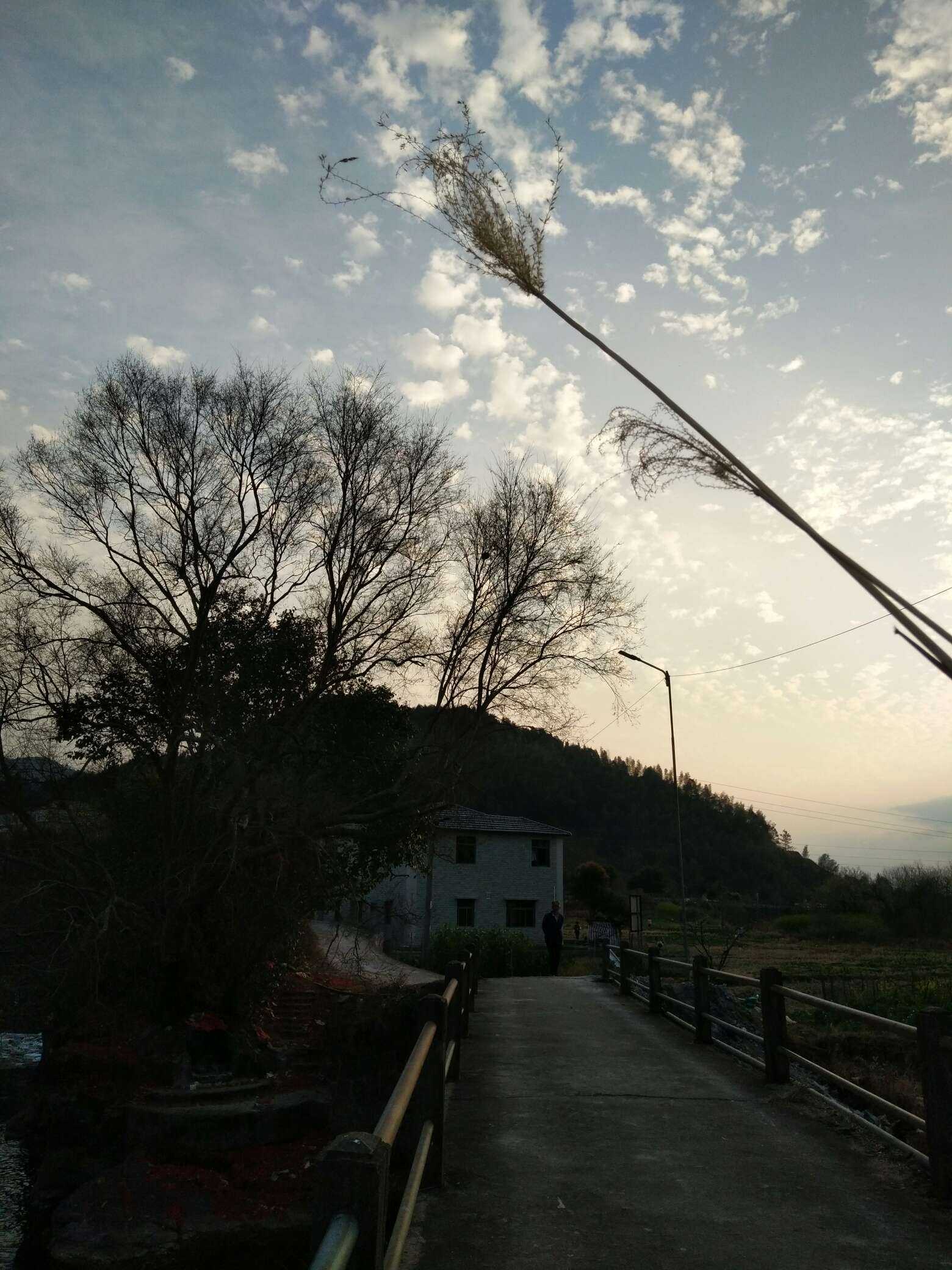 一个人待着思念家乡,悲伤到说不出话.