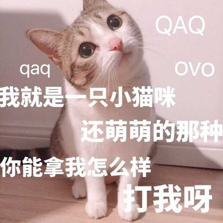 你见过什么看一遍就忍不住笑的图片?