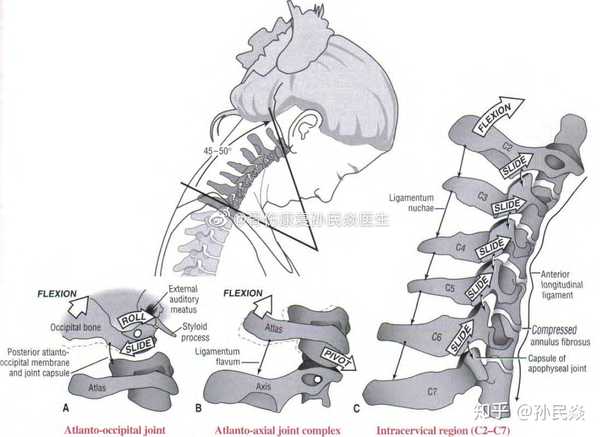 孙民焱 的想法 颈椎矢状面活动度 伸展 85度 屈曲45-50度 知乎