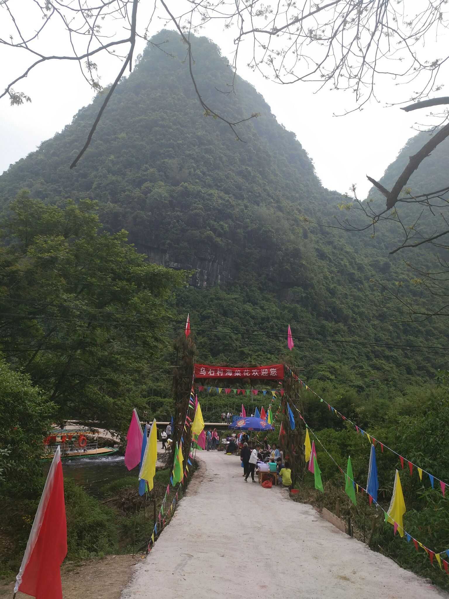 桂林百寿镇乌石海菜花