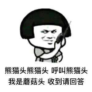 有哪些适合情侣之间的表情包?