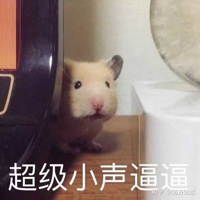 有哪些好笑的沙雕的句子或者段子?