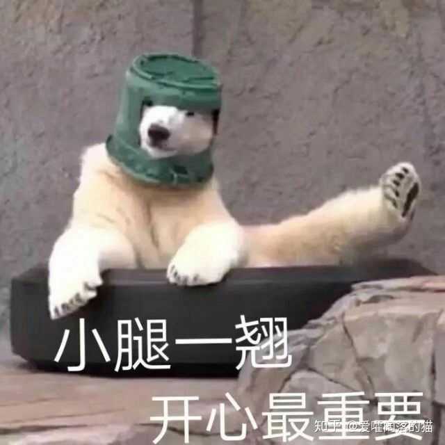 有哪些沙雕表情包?