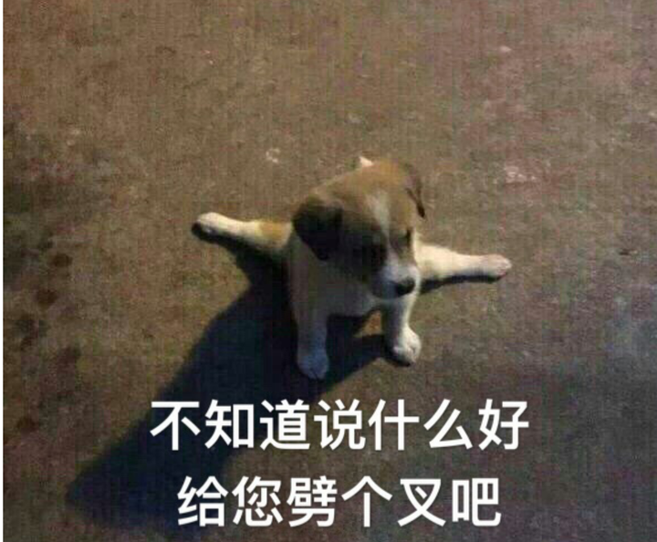 更完犊子的是,我哥有对象,而我没有,于是大家更不注重我的美貌了.