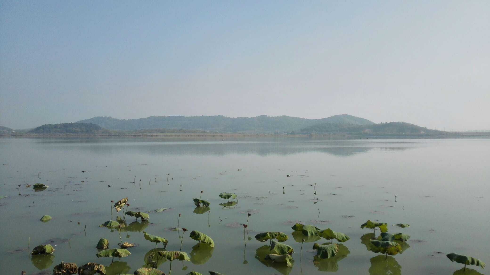 桐湖湿地公园