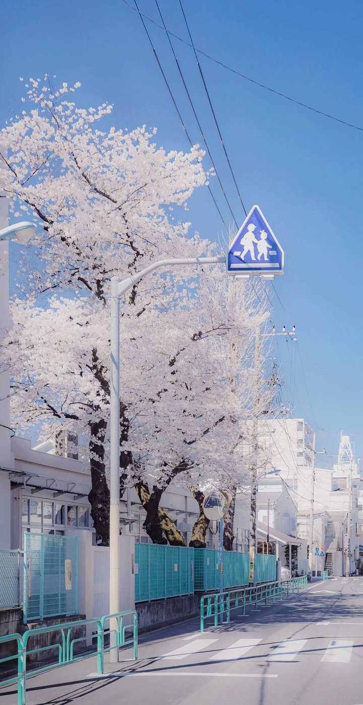 有哪些以日本的街道或者风景为背景的手机壁纸?