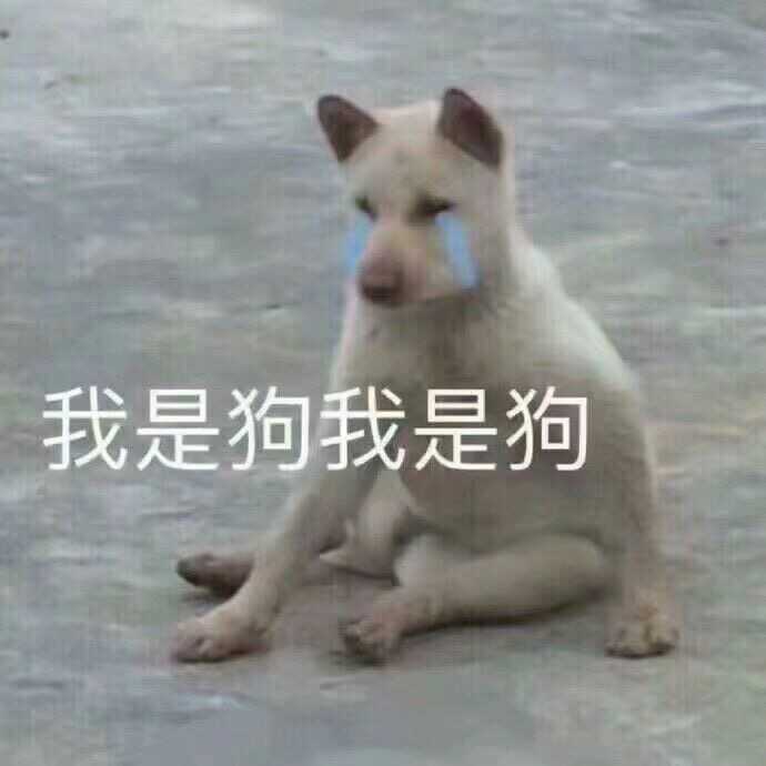 有没有傻傻的头像?