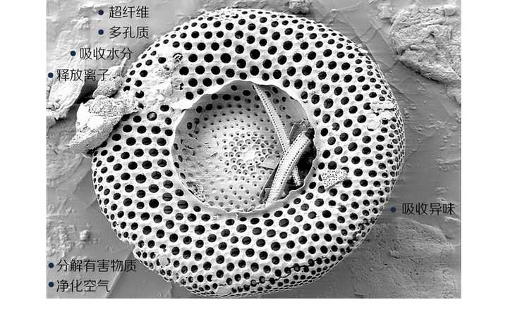 硅藻土的特别就在于它的结构,千疮百孔啊,比活性炭都要多