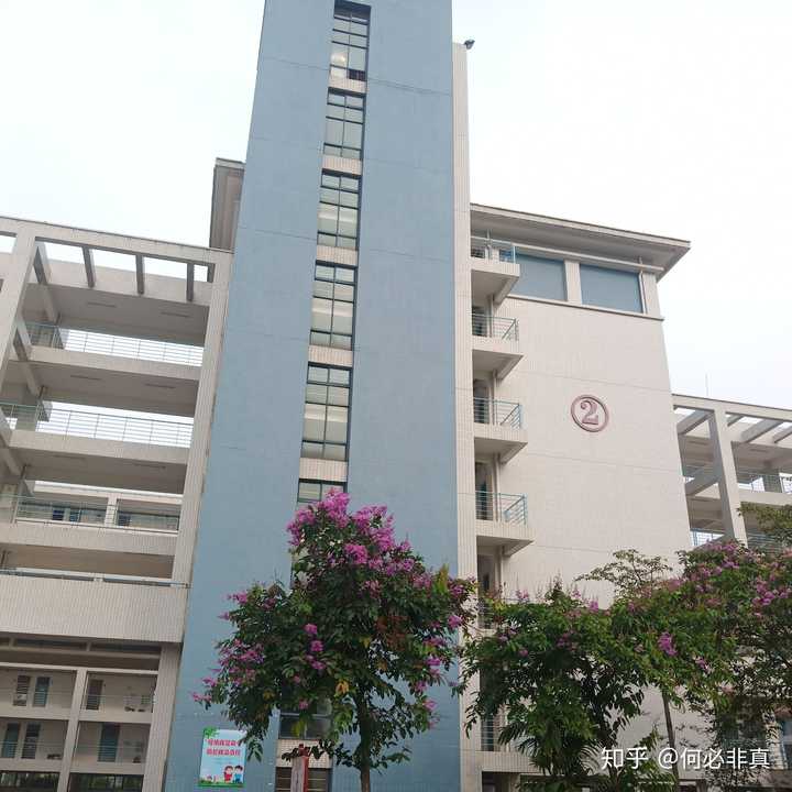 肇庆医学高等专科学校的校园环境如何?