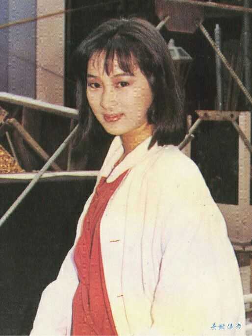 如何评价黎美娴的长相.
