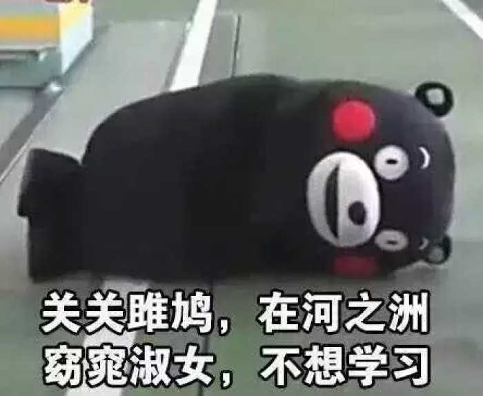 我不学了,我累了,前方的路太难走