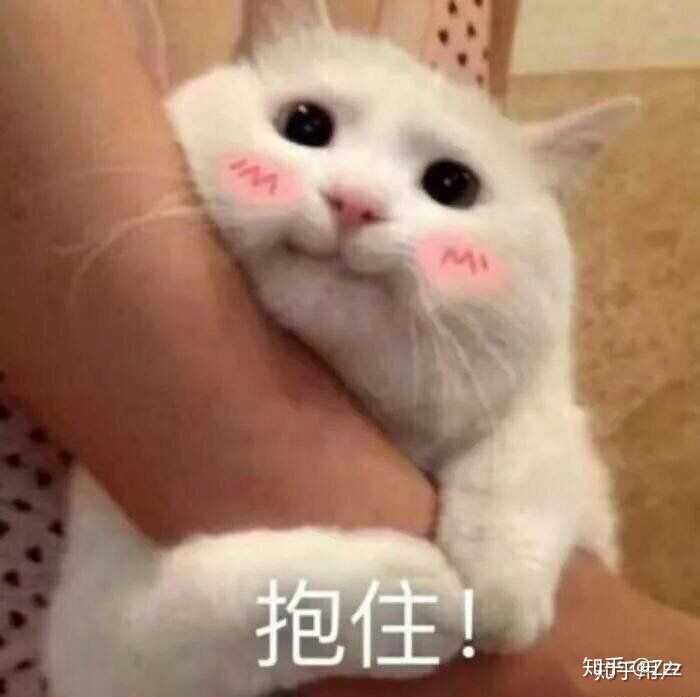 有那些撩男朋友的斗图?