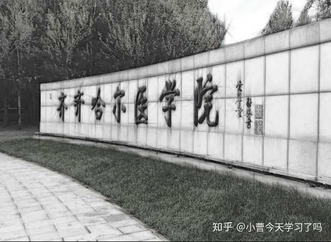 齐齐哈尔医学院的校园环境如何