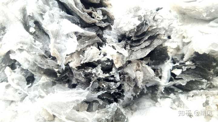 薄纸烧成灰后的亚子像极了一副水墨画