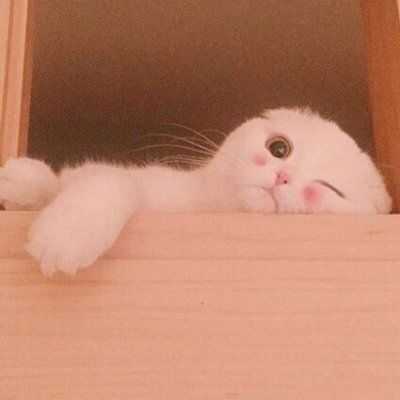 女生用什么头像容易撩到小哥哥?