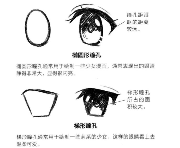 椭圆形瞳孔通常用于绘制一些少女漫画,通常表现出的眼睛睁得非常大