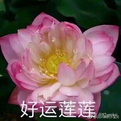 被母上大人要求换微信头像,是一个什么样的体会?