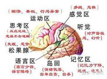 脑涨落图是否是骗人的