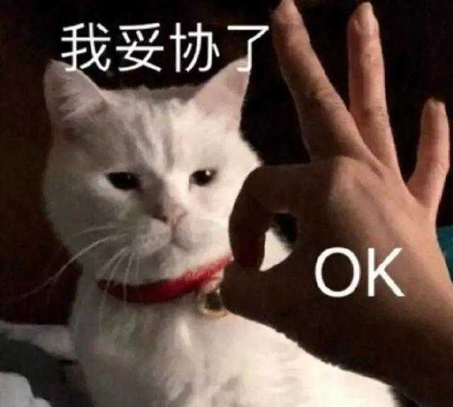 十几岁 我好累 我是憨憨吗为啥有这么多猫咪表情包!难搞哦