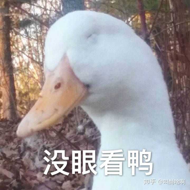 自己很傻怎么办?