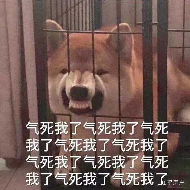 所以啊,做人还是不要太多管闲事的好.