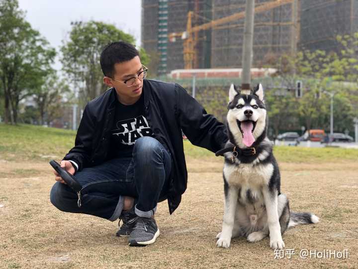 养狗的人什么时候觉得狗也爱着你?