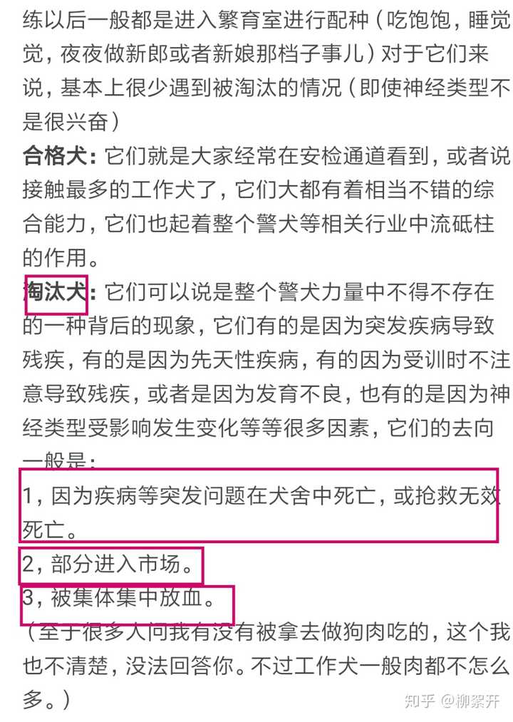 我不清楚这种处理方式在极端爱狗人士眼里残不残忍.