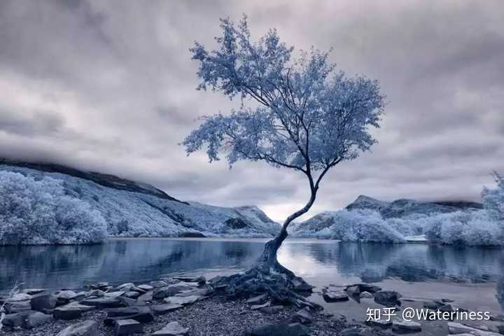 红外摄影作品