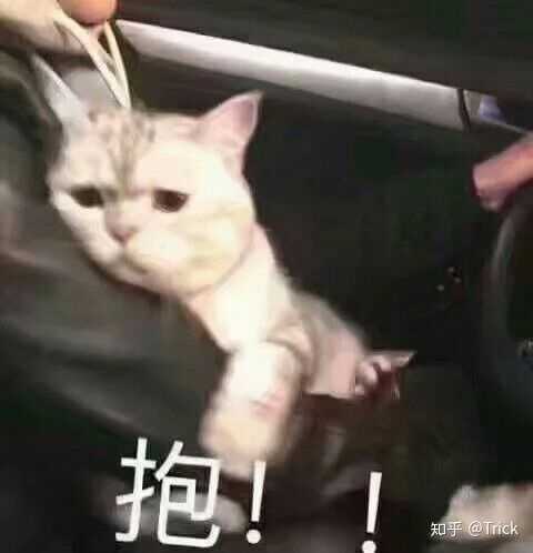 有没有关于抱抱的表情包呀?