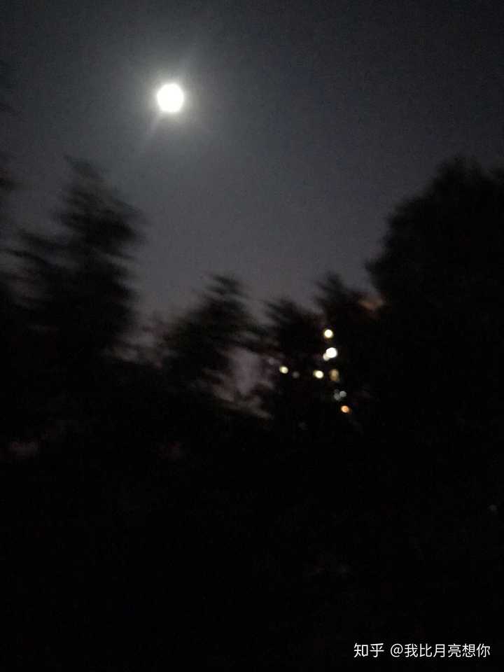 前天晚上回去的时候,看见月亮特别亮,于是拿出手机随手走着就拍下了.