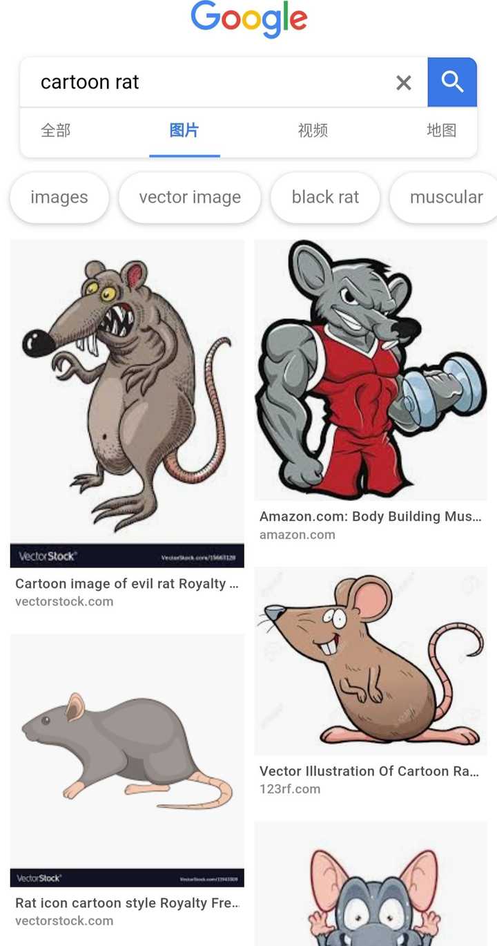 鼠年的鼠是 mouse,还是 rat?