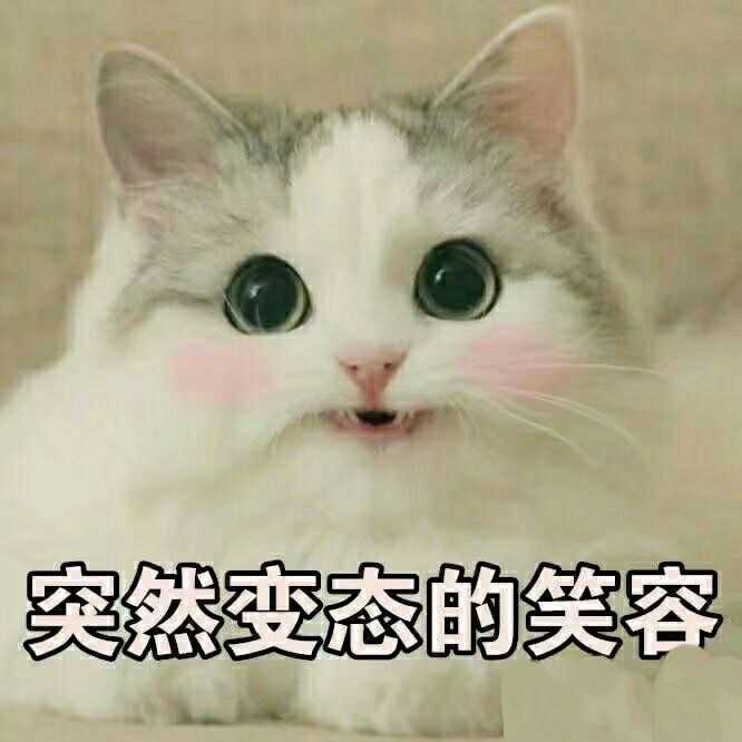 有没有那种适合给女朋友发的小表情包?