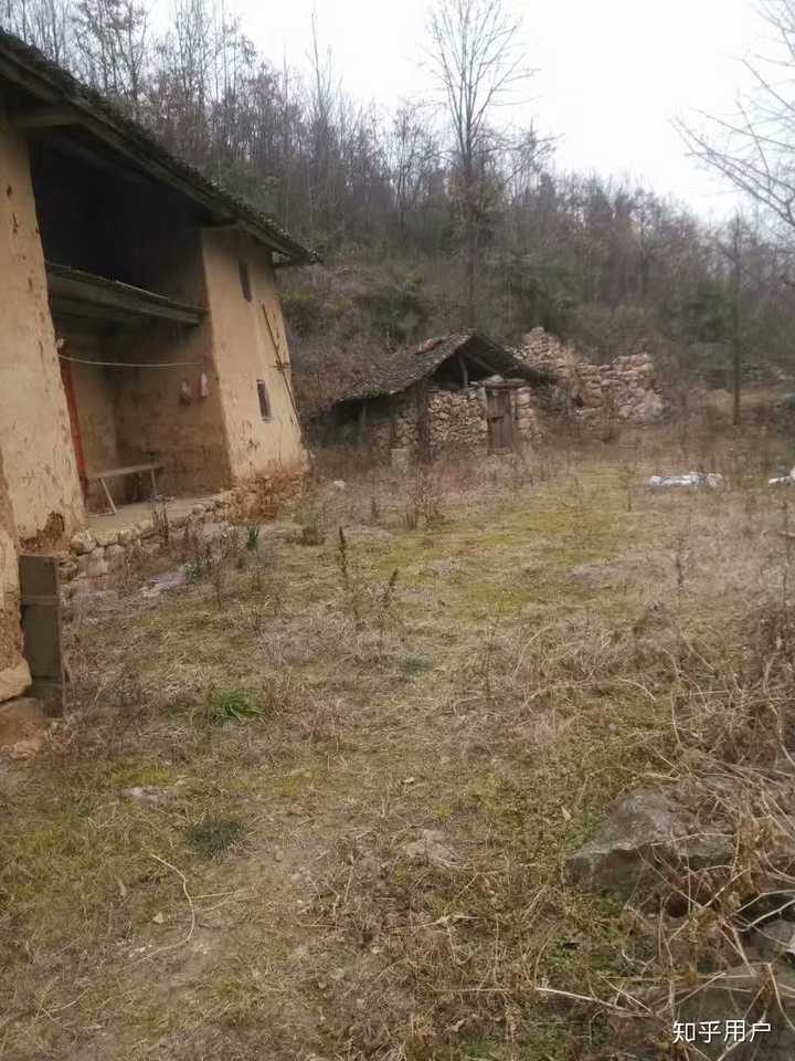 中国农村什么让你感到最恐怖?