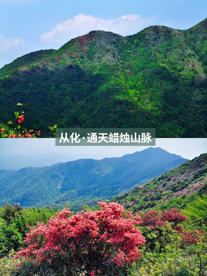 从化(广州):十二月的广州依旧春暖花开啊,连广州本地知道的也不是很多