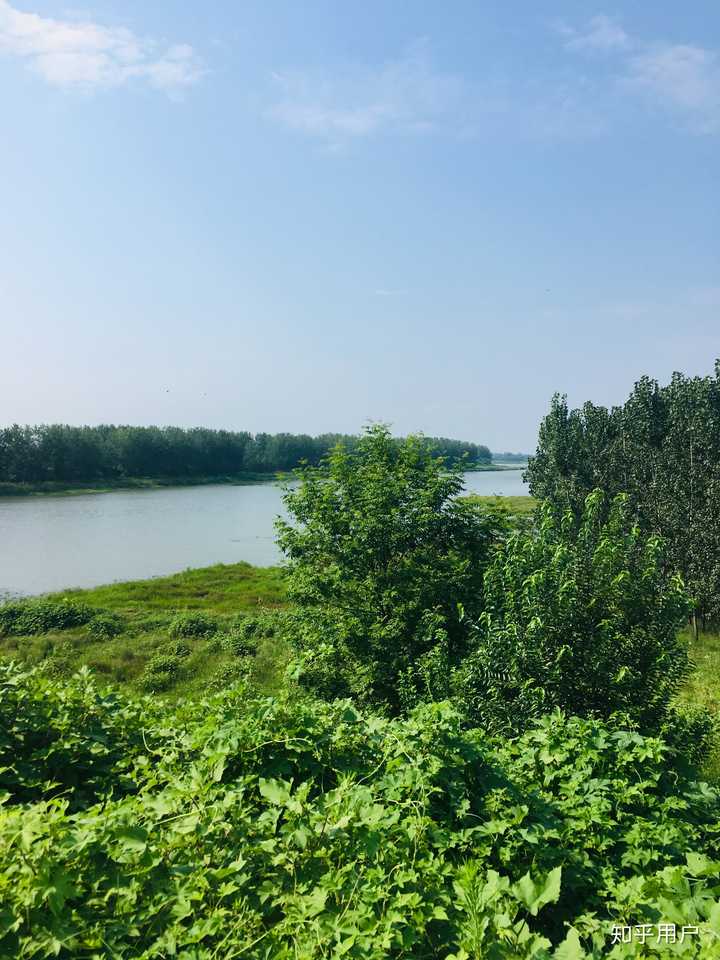 临水镇希望小学旁河流