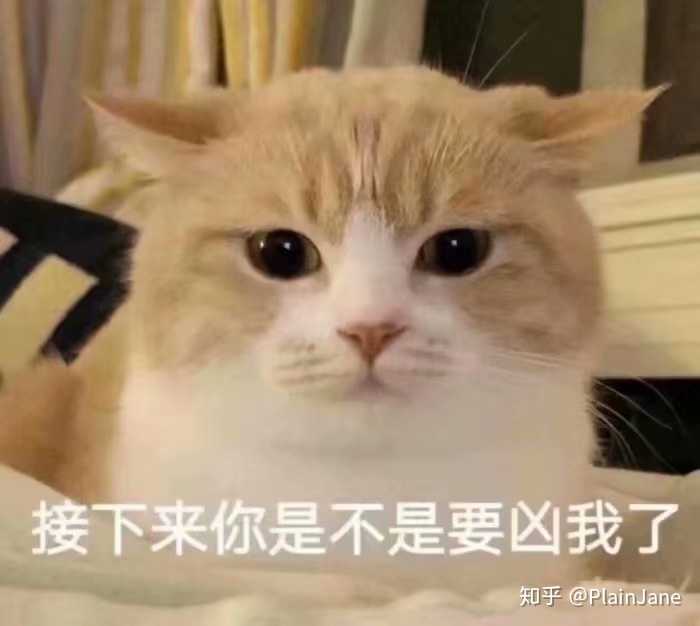 你们有那些既沙雕又实用的表情包
