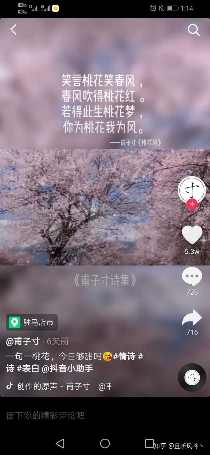 如何评价甫子寸的诗?