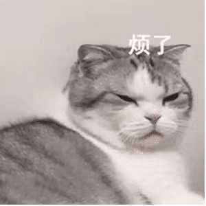有没有什么可以制裁那些聊天发省略号的人的表情包?