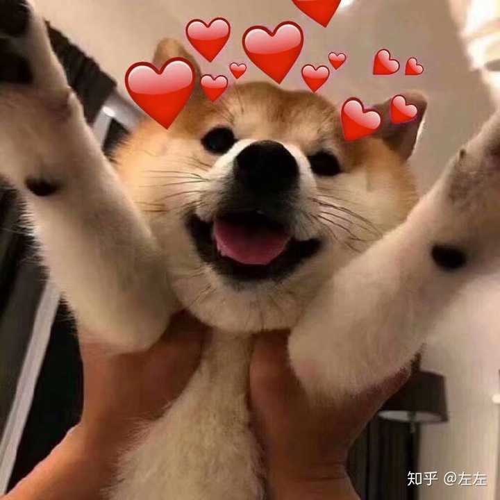   超级想让你抱抱!