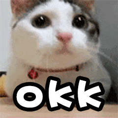 有哪些用来回答 可以或者嗯嗯或者ok或者点头 的表情包?