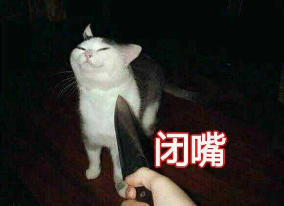 有哪些屡试不爽的表情包?