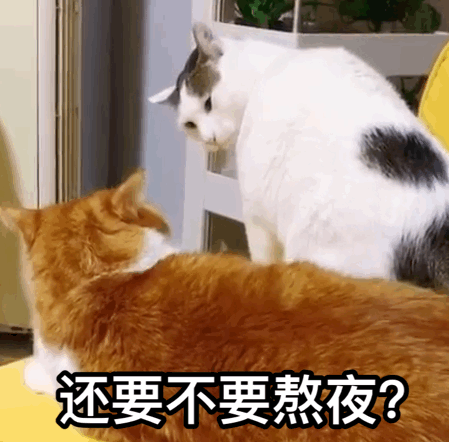 4.1更新 4.小黄鸡(小鹦鹉) 2019.5.30 我永远爱小黄鸡o(≥v≤)o 5.