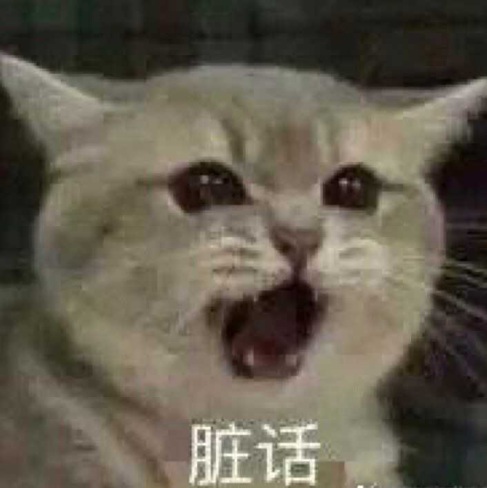 有哪些可爱到哭泣的猫咪图片或者表情包?