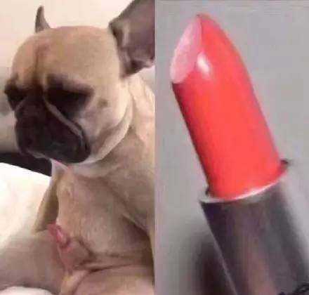 女人为了变美可以做出多丧心病狂的事? - 知乎