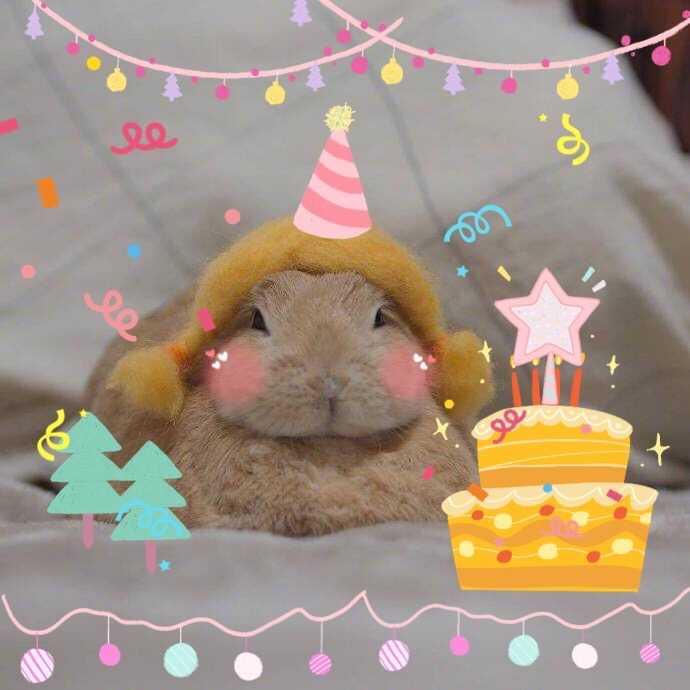 我过生日o(*////▽////*)q