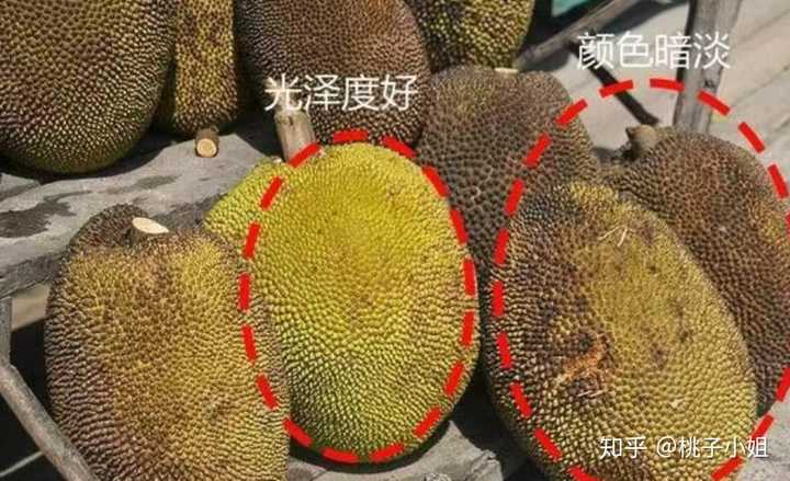 熟了的菠萝蜜应该是呈金黄色;如果是绿的就说明还未成熟;如果是黑的就