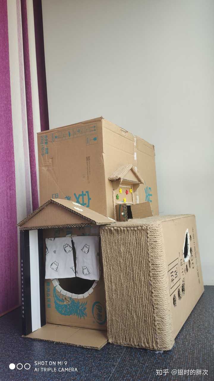 如何用废旧纸箱给猫做猫窝或者猫爬架?