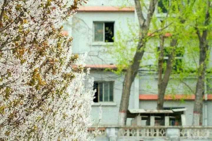 在山西大学大东关校区就读是一种怎么样的体验?
