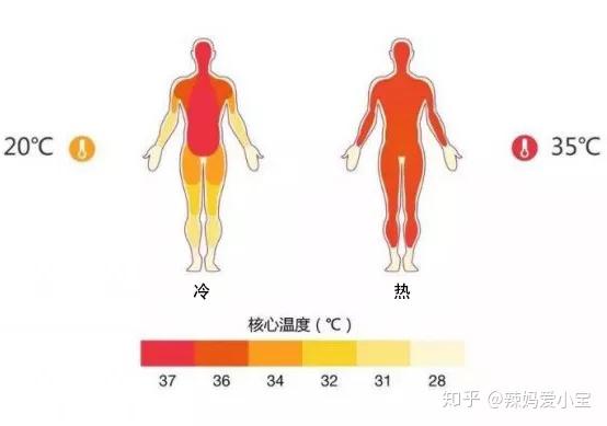 人体的 冷,暖时候的体温分布图